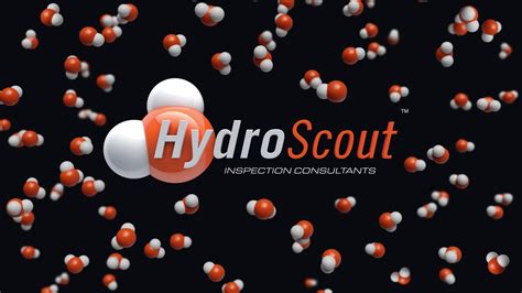 precision leak detection reviews|HydroScout Precision Leak Detection Reviews